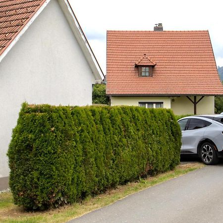 Flat Bull Appartement Mit Garten Sankt Lorenzen bei Knittelfeld Kültér fotó