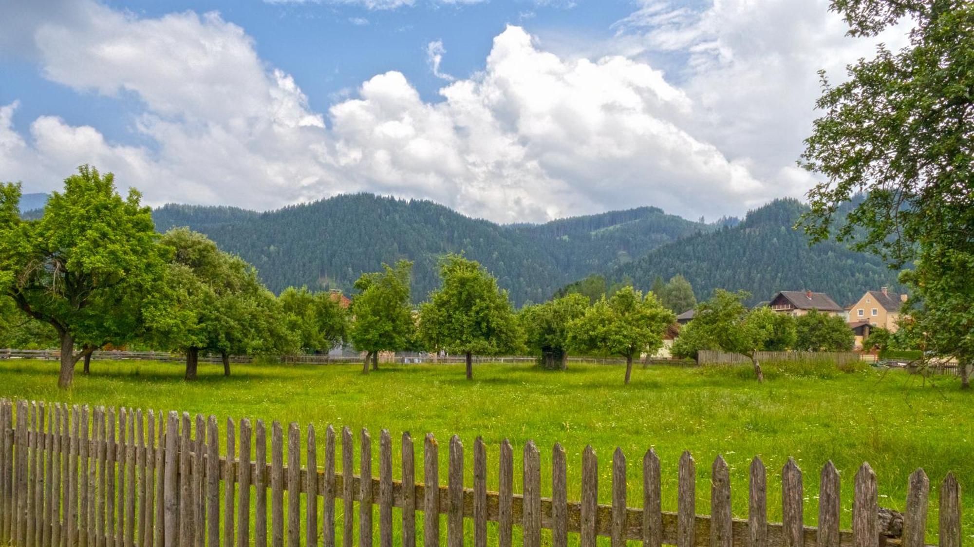 Flat Bull Appartement Mit Garten Sankt Lorenzen bei Knittelfeld Kültér fotó